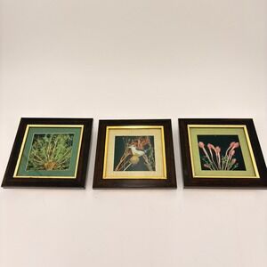 Vintage Set of 3 Framed Botanical and Bird Pressed Art Dark Wood Gold Trim